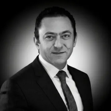 وائل السيد علي